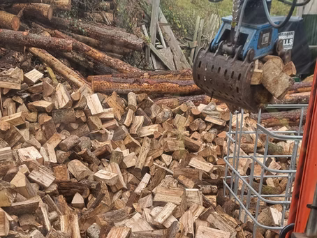 Logs In Exeter